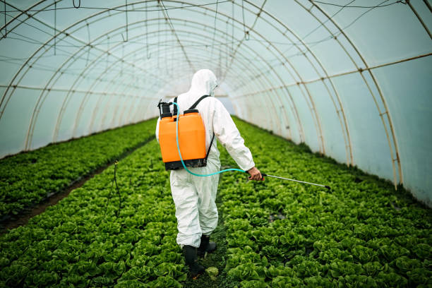 Best Mosquito Control Services  in Ohatchee, AL