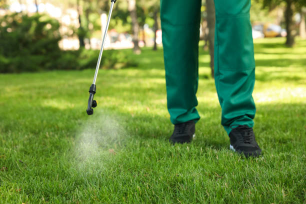 Best Affordable Pest Control Services  in Ohatchee, AL
