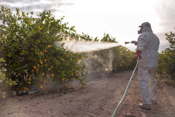 Best Affordable Pest Control Services  in Ohatchee, AL