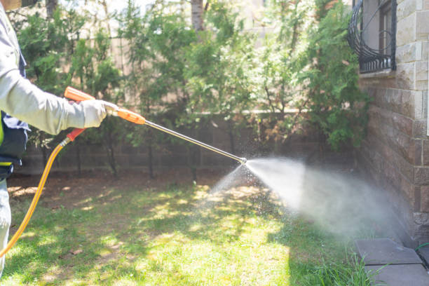 Best Flea Control Services  in Ohatchee, AL