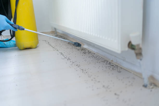 Best Affordable Pest Control Services  in Ohatchee, AL